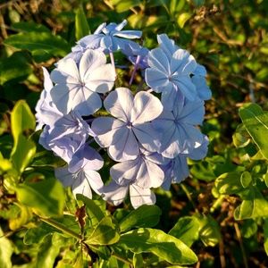 Meet your Posher, Vicki